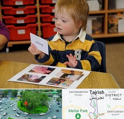 آموزش کودکان استثنایی در تجریش 