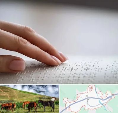 آموزشگاه خط بریل در تالش