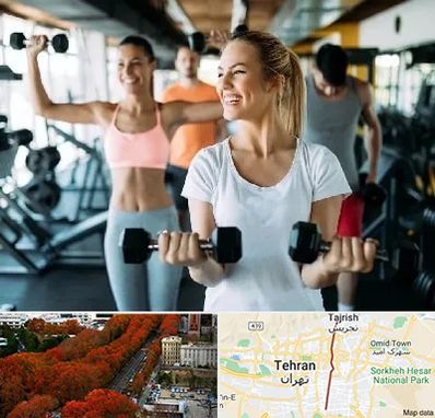 باشگاه بدنسازی بانوان در ولیعصر