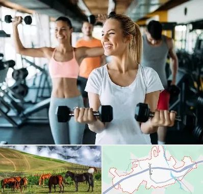 باشگاه بدنسازی بانوان در تالش