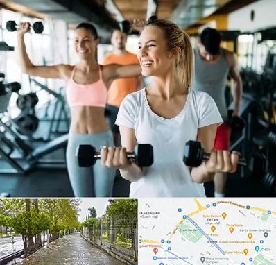 باشگاه بدنسازی بانوان در خیابان ارم شیراز