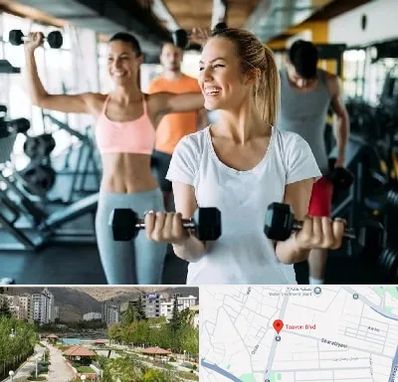 باشگاه بدنسازی بانوان در بلوار تعاون