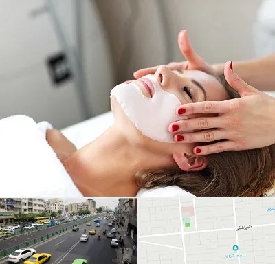 فیشیال صورت در خیابان دامپزشکی
