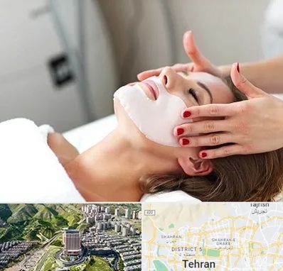 فیشیال صورت در شمال تهران 