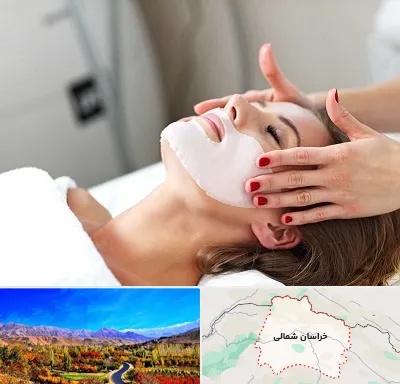 فیشیال صورت در خراسان شمالی