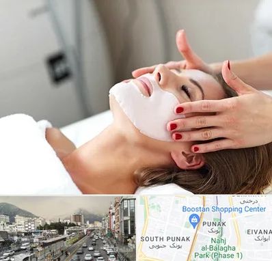 فیشیال صورت در پونک 