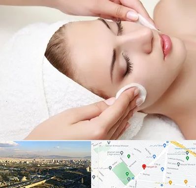 پاکسازی صورت در هنگام