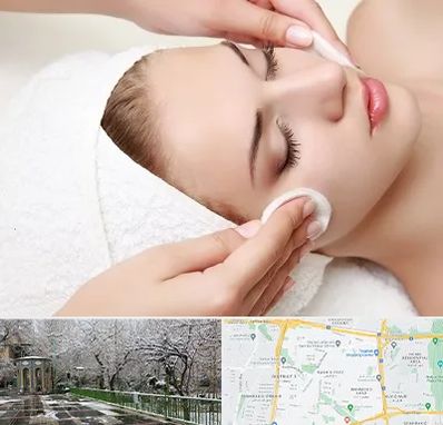 پاکسازی صورت در باغ فیض