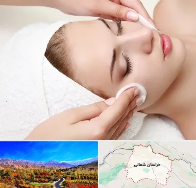 پاکسازی صورت در خراسان شمالی