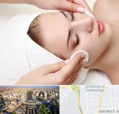 پاکسازی صورت در استاد معین 