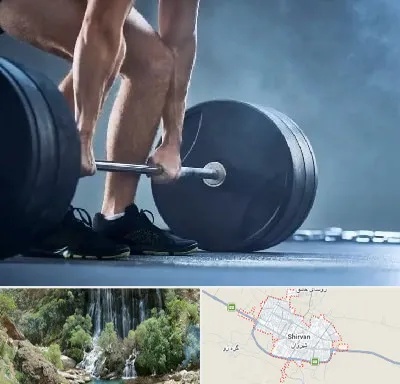 باشگاه بدنسازی در شیروان