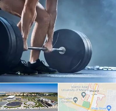 باشگاه بدنسازی در ملارد