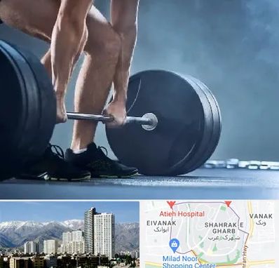 باشگاه بدنسازی در شهرک غرب تهران