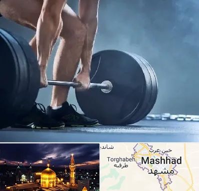 باشگاه بدنسازی در مشهد