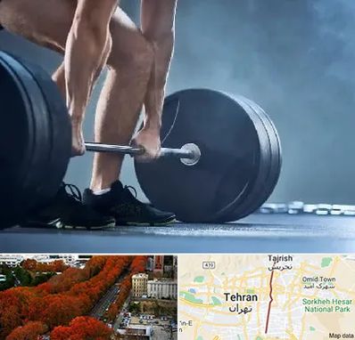 باشگاه بدنسازی در ولیعصر