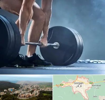 باشگاه بدنسازی در گرگان