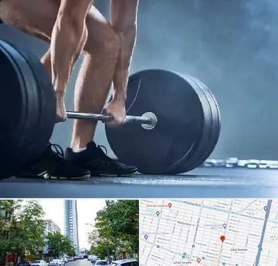 باشگاه بدنسازی در امامت مشهد