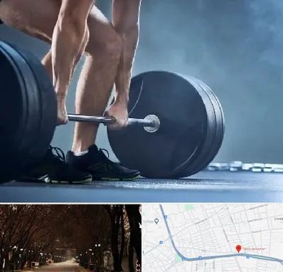 باشگاه بدنسازی در ابوریحان تبریز