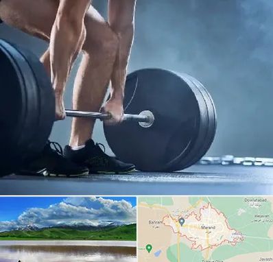 باشگاه بدنسازی در مرند