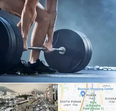 باشگاه بدنسازی در پونک