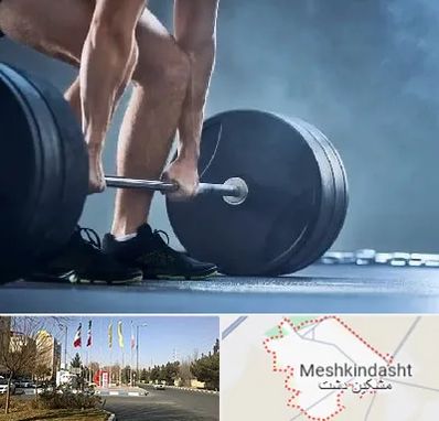باشگاه بدنسازی در مشکین دشت