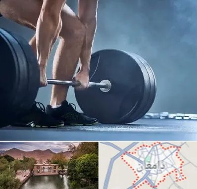 باشگاه بدنسازی در دامغان