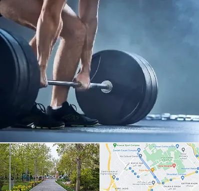 باشگاه بدنسازی در قدوسی غربی شیراز