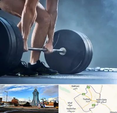 باشگاه بدنسازی در تایباد