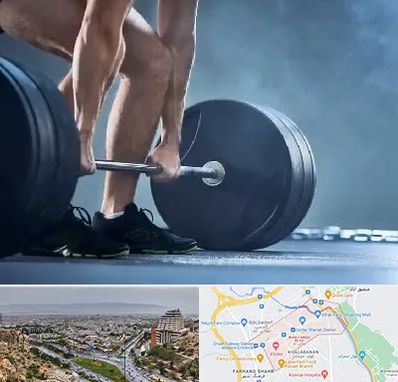 باشگاه بدنسازی در معالی آباد شیراز