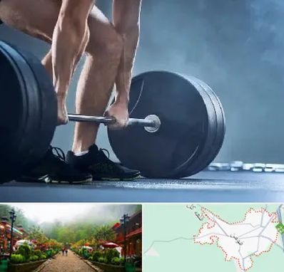 باشگاه بدنسازی در فومن