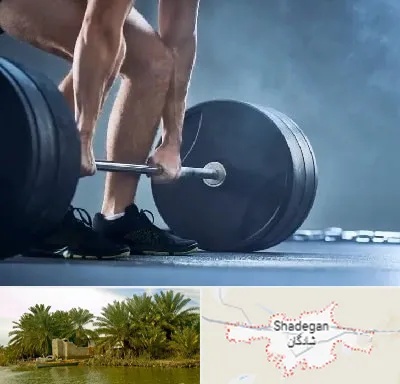 باشگاه بدنسازی در شادگان