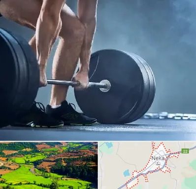 باشگاه بدنسازی در نکا