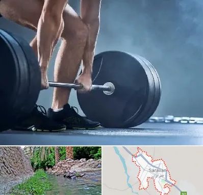 باشگاه بدنسازی در سراوان