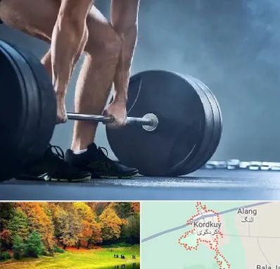باشگاه بدنسازی در کردکوی