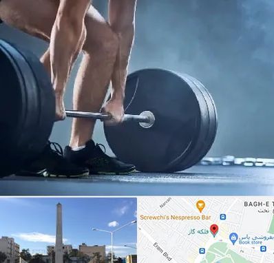 باشگاه بدنسازی در فلکه گاز شیراز