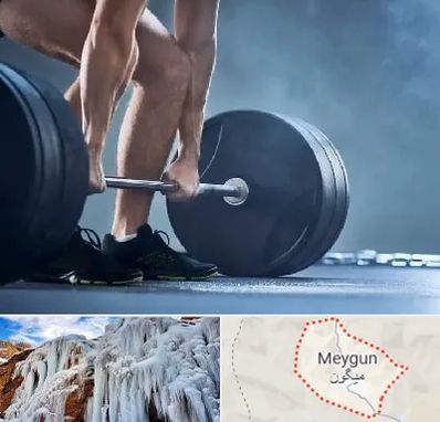 باشگاه بدنسازی در میگون