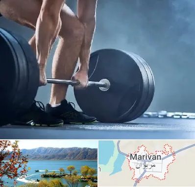 باشگاه بدنسازی در مریوان