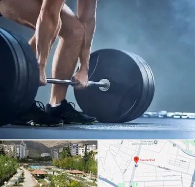 باشگاه بدنسازی در بلوار تعاون