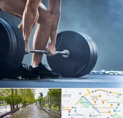 باشگاه بدنسازی در خیابان ارم شیراز