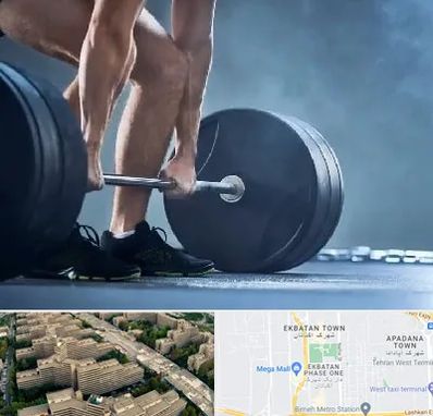 باشگاه بدنسازی در اکباتان