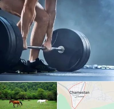 باشگاه بدنسازی در چمستان