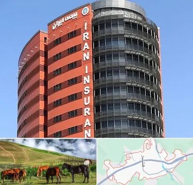 بیمه ایران در تالش