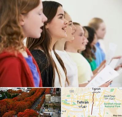 آموزشگاه صدا سازی در ولیعصر 