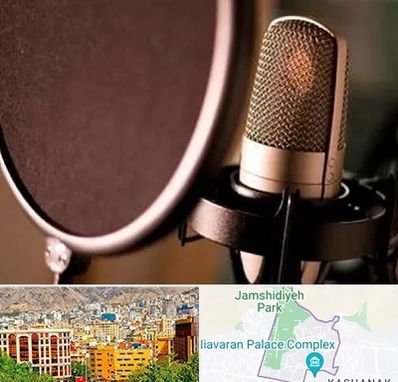 آموزشگاه دوبلوری در نیاوران 