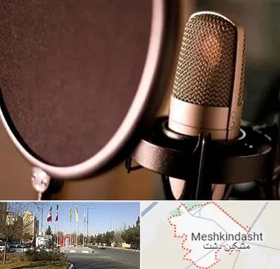 آموزشگاه دوبلوری در مشکین دشت