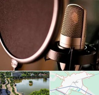 آموزشگاه دوبلوری در لنگرود