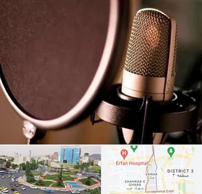 آموزشگاه دوبلوری در ونک 