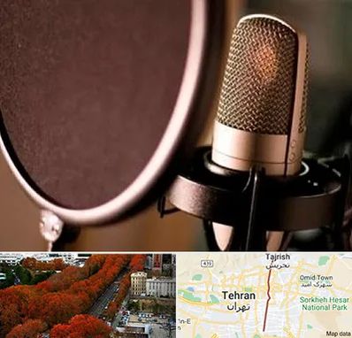 آموزشگاه دوبلوری در ولیعصر 