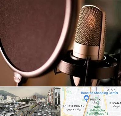 آموزشگاه دوبلوری در پونک 