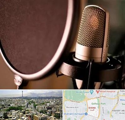 آموزشگاه دوبلوری در گیشا 